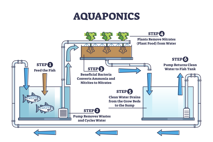 aquaponics