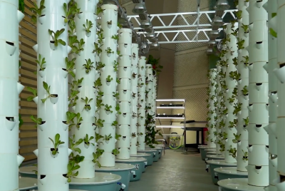 Aeroponic Towers