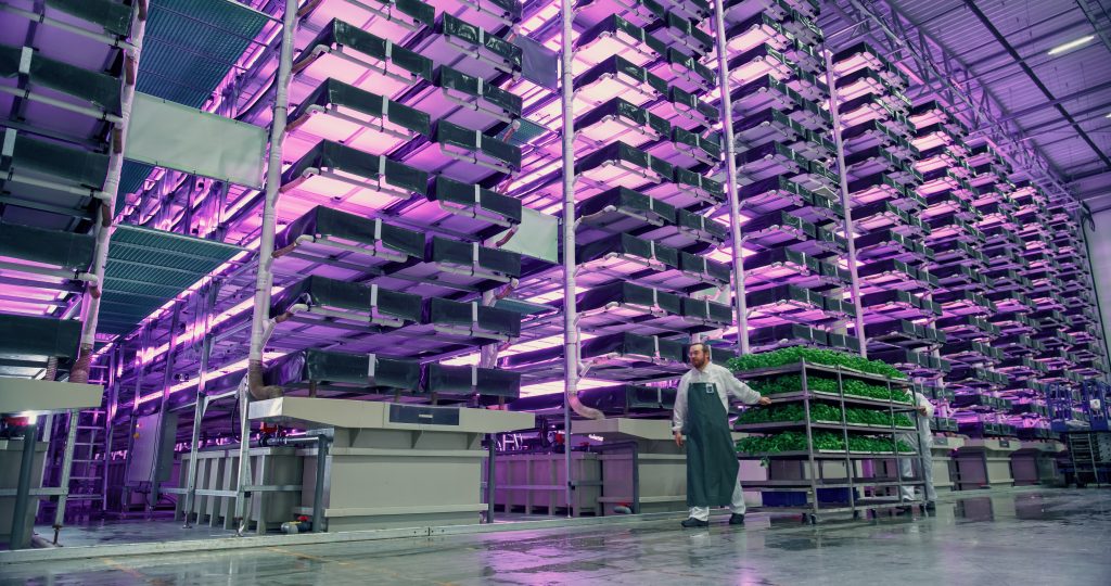 Hydroponic Vertical Farming