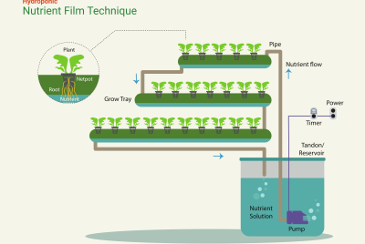 NFT Hydroponics